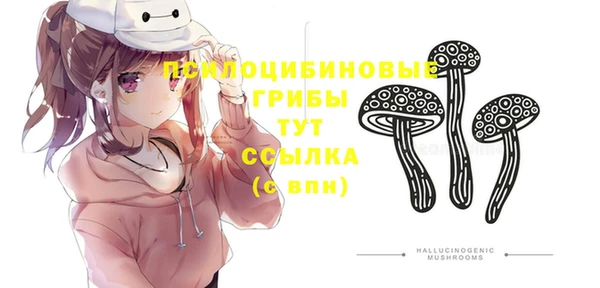 герыч Алексин