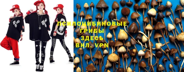 прущая мука Абинск