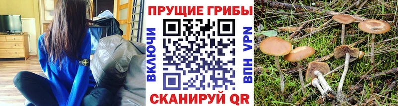 Галлюциногенные грибы Cubensis  МЕГА ссылки  Курск 